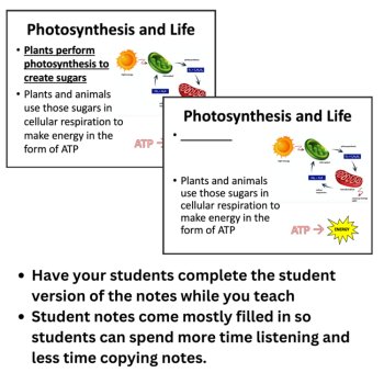 Photosynthesis Lesson | 6th, 7th, 8th Middle School, Bonus Infographic Activity, image 3