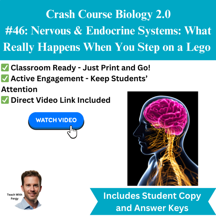 Crash Course BIOLOGY #46 Nervous & Endocrine Systems | Worksheet, Body Systems