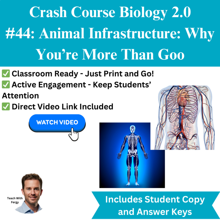 Crash Course BIOLOGY #44: Animal Infrastructure | Worksheet, Body Systems