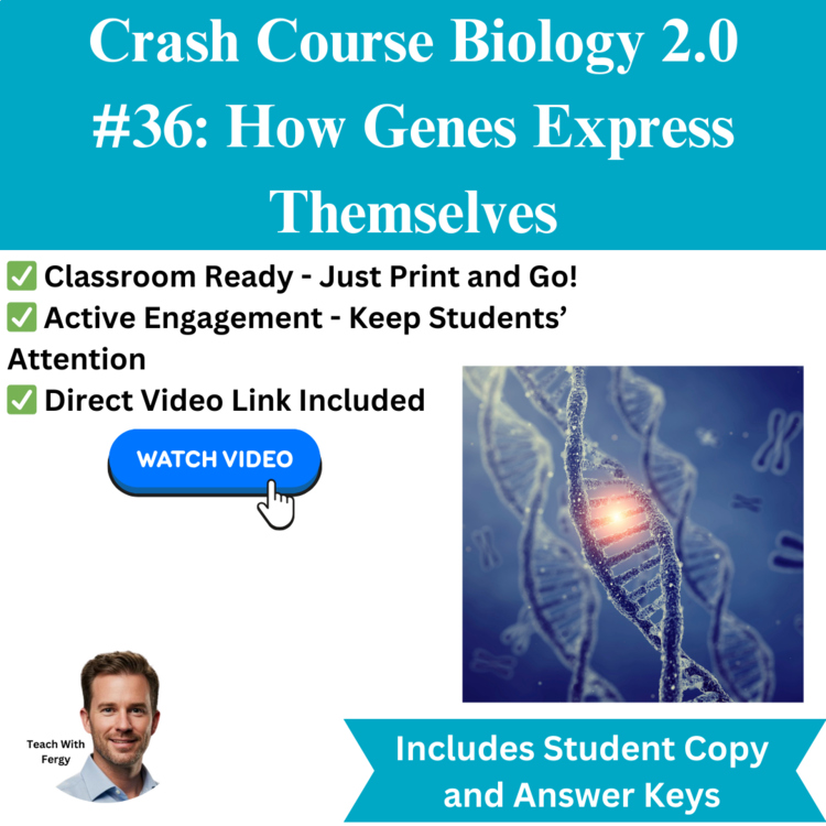 Crash Course BIOLOGY #36: How Genes Express Themselves | Worksheet | Sub Plan