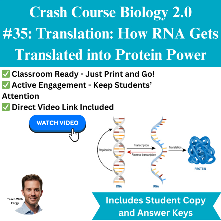 Crash Course BIOLOGY #35: Translation: RNA into Protein Power | Worksheet | Sub