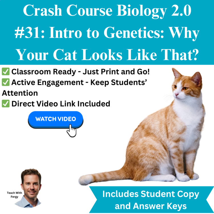 Crash Course BIOLOGY #31: Intro Genetics: Why Your Cat Look Like That Worksheet