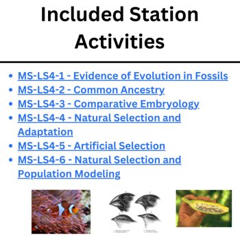 NGSS-MS-LS4 -Biological Evolution: Unity and Diversity Station Activity Bundle, image 2
