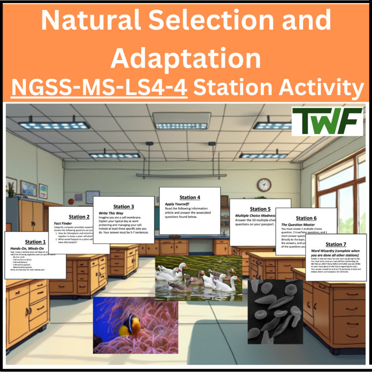 Natural Selection and Adaptation - Station Activity - NGSS-MS-LS4-4