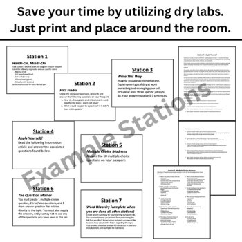 Comparative Embryology Station Activity - MS-LS4-3 | Embryo Development, image 4