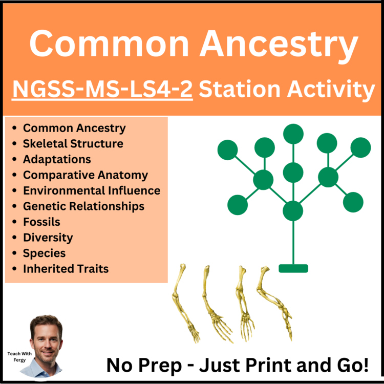 Common Ancestry Station Activity - NGSS-MS-LS4-2 | 6th, 7th, 8th
