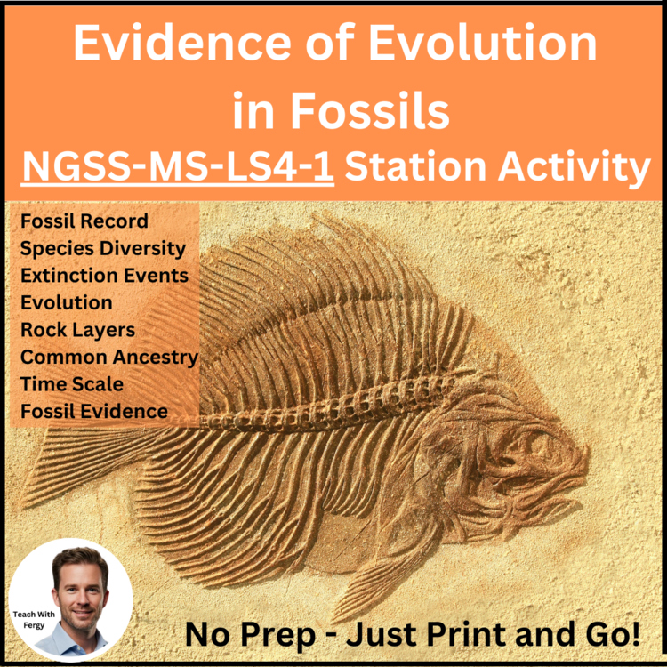 Evidence of Evolution in Fossils Station Activity | MS-LS4-1 | 6th, 7th, 8th
