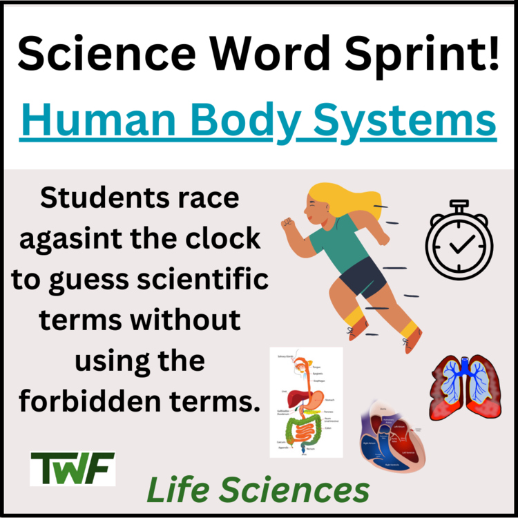Human Body Systems - Circulatory, Respiratory, Digestive System Review Activity