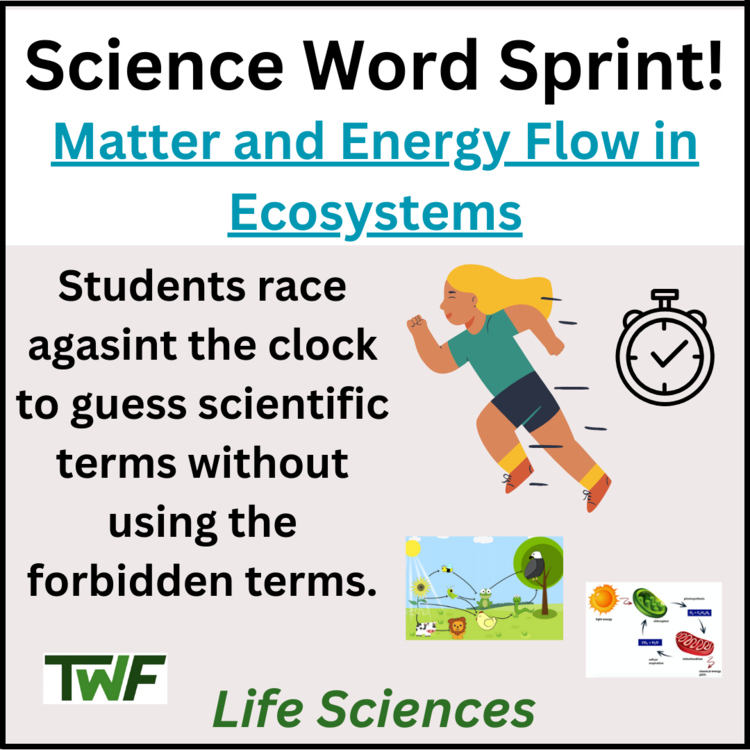 Matter and Energy Flow in Ecosystems - Photosynthesis and Respiration Review