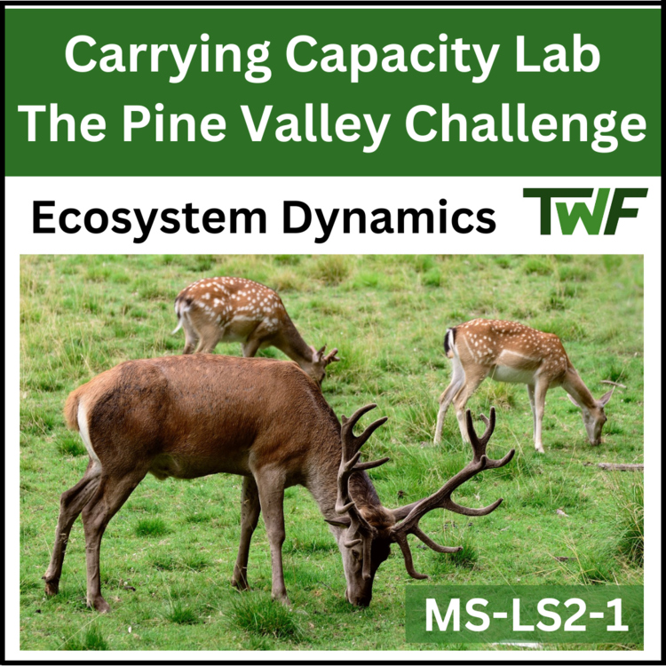 Carrying Capacity Lab | Population Ecology Lab Activity - Ecosystem Dynamics