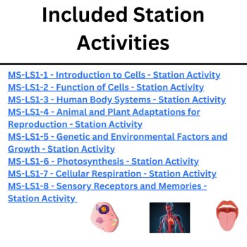 From Molecules to Organisms Station Activity Bundle | NGSS-MS-LS1 | Cells, Body, image 4