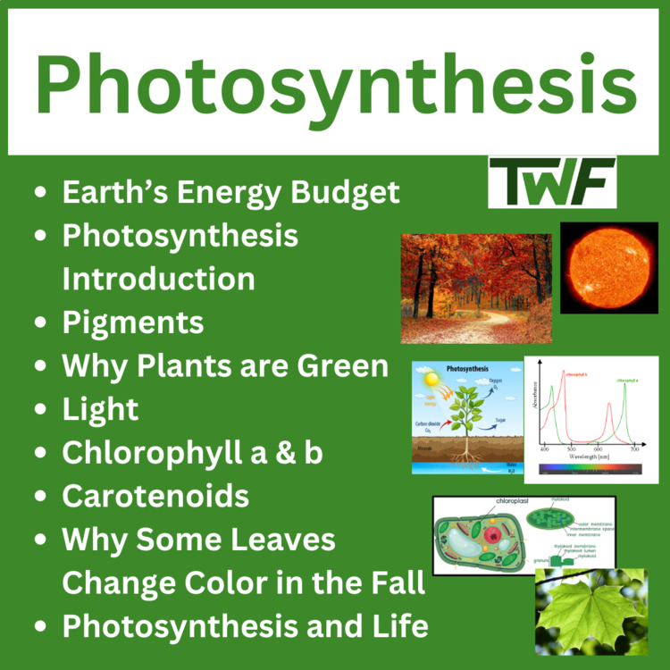 Photosynthesis - High School Biology Science Lesson