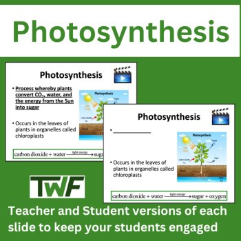 Photosynthesis - High School Biology Science Lesson, image 2