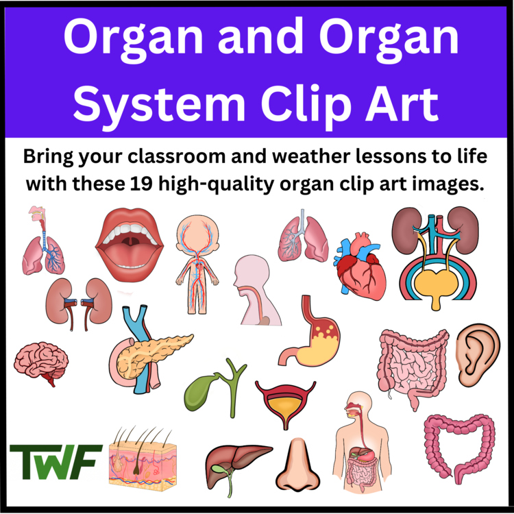 Human Organs and Organ Systems Clip Art - Science and Biology Clip Art