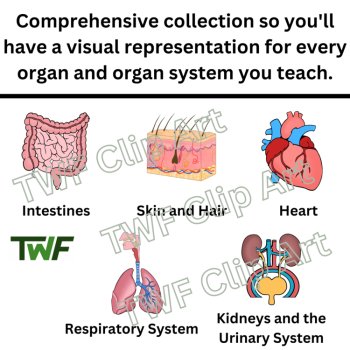 Human Organs and Organ Systems Clip Art - Science and Biology Clip Art, image 2