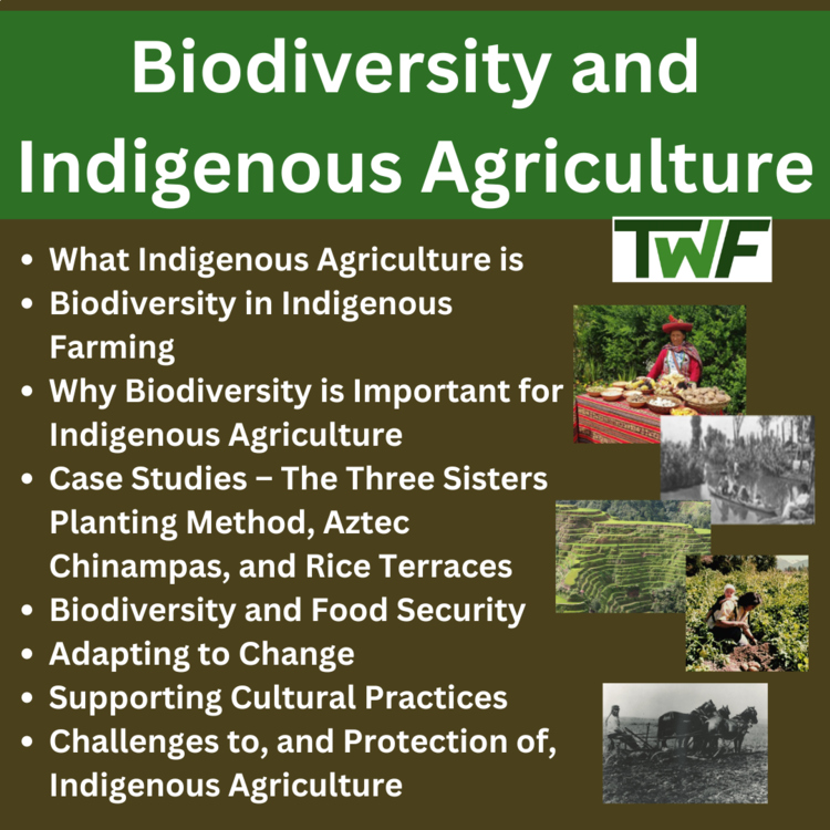 Biodiversity and Indigenous Agriculture - Middle School Lesson