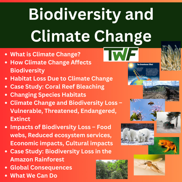 Biodiversity and Climate Change Middle School Lesson