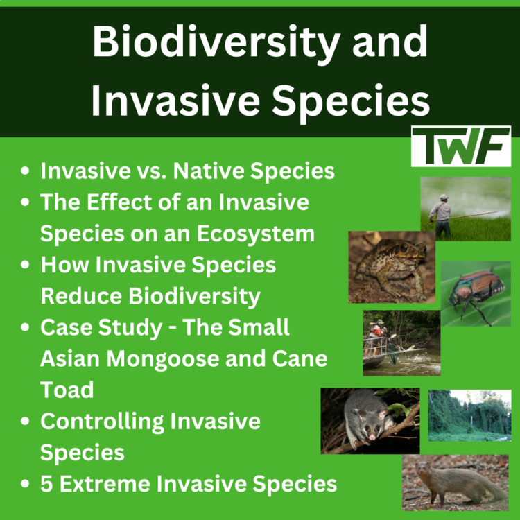 Biodiversity and Invasive Species Middle School Lesson - Reducing Biodiversity