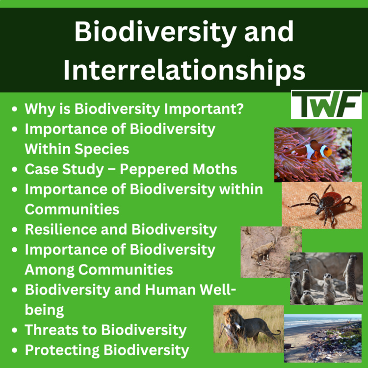 Biodiversity and Interrelationships – Species Interactions and Relationships