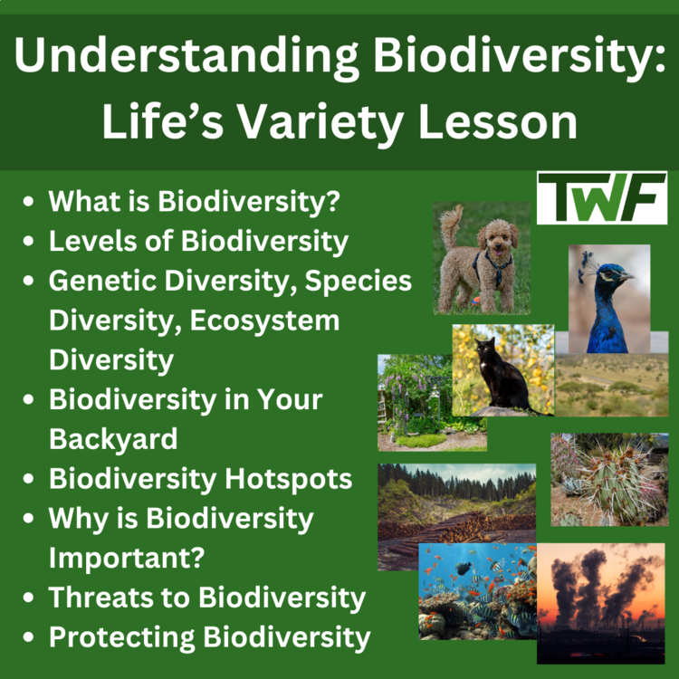 Biodiversity Understanding Middle School Lesson - Life's Variety