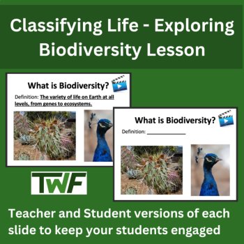 Biodiversity Understanding Middle School Lesson - Life's Variety, image 3