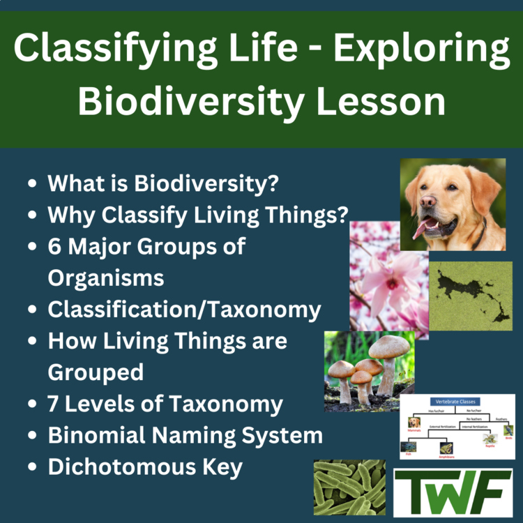 Classification and Biodiversity Lesson - Naming, Taxonomy, & Dichotomous Keys