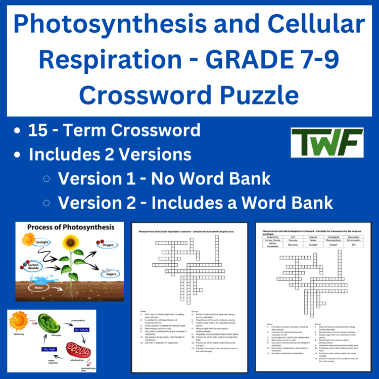 Photosynthesis and Cellular Respiration - Grade 7-9 Crossword Puzzle Activity