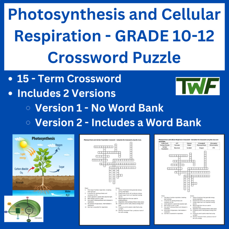 Photosynthesis and Cellular Respiration - Grade 10-12 Crossword Puzzle Activity
