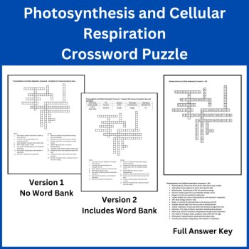 Photosynthesis and Cellular Respiration - Grade 10-12 Crossword Puzzle Activity, image 2