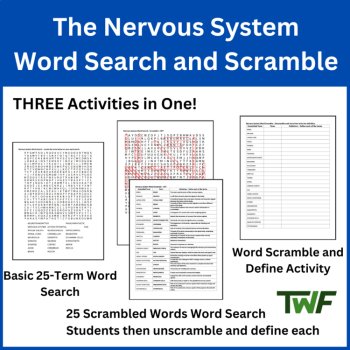 The Nervous System Word Search & Scramble Activity | Human Body Systems Review, image 2