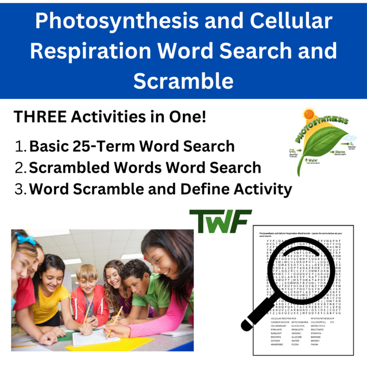Photosynthesis and Cellular Respiration Word Search and Scramble Activity