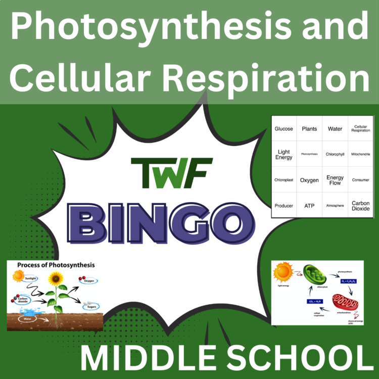 Photosynthesis and Cellular Respiration BINGO - Middle School Science