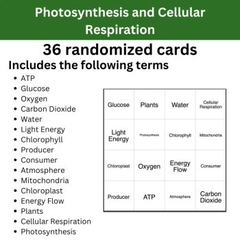 Photosynthesis and Cellular Respiration BINGO - Middle School Science, image 2