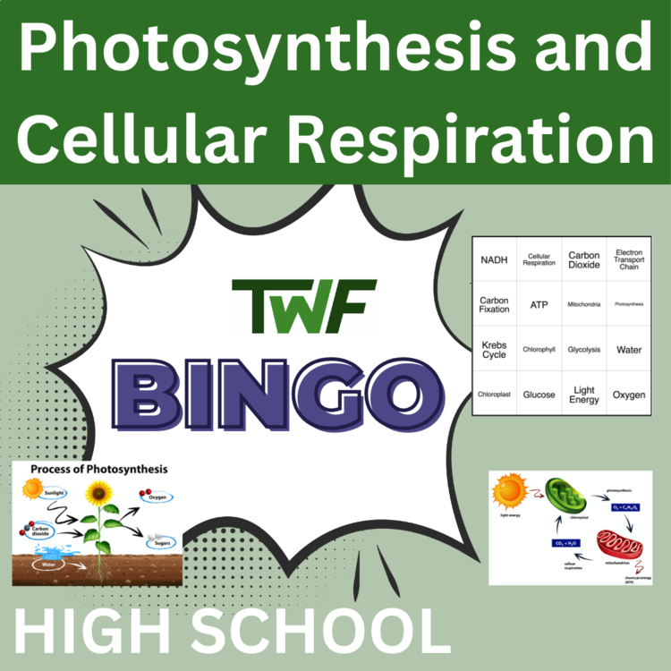 Photosynthesis and Cellular Respiration BINGO - High School Science