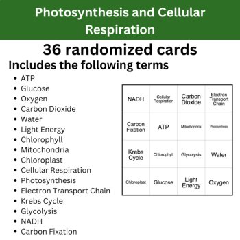 Photosynthesis and Cellular Respiration BINGO - High School Science, image 2