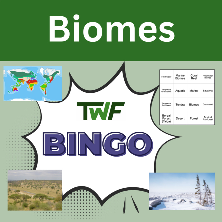 Biomes BINGO - Science BINGO Activity
