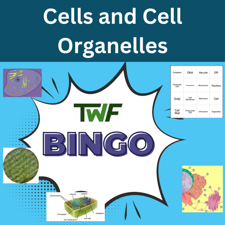 Cells and Cell Organelles BINGO - Science BINGO Activity
