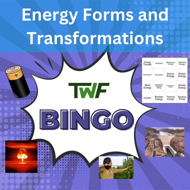 Energy Forms and Transformations BINGO - Science BINGO Activity