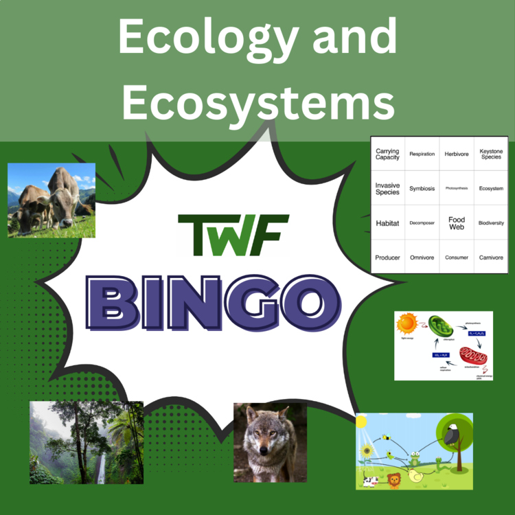 Ecology and Ecosystems BINGO - Science BINGO Activity