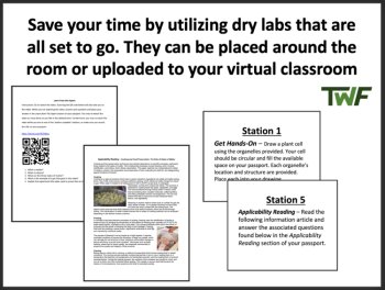 Matter and the Particle Theory - Middle School Lab Station Activity, image 2