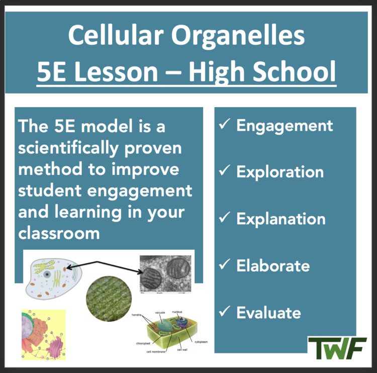 Cellular Organelles - Cell Organelle Structure and Function - 5E Lesson Bundle