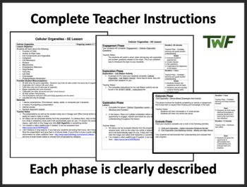 Cellular Organelles - Cell Organelle Structure and Function - 5E Lesson Bundle, image 2