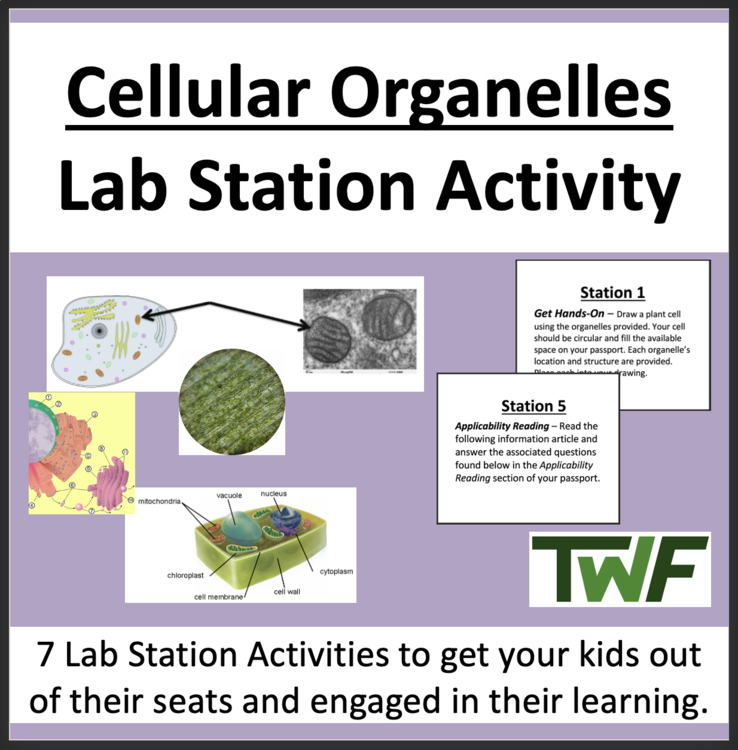 Cellular Organelles - Cell Organelle Structure and Function Lab Station Activity