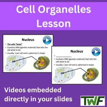 Cellular Organelles Lesson - Cell Organelle Structure and Function, image 2