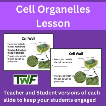 Cellular Organelles Lesson - Cell Organelle Structure and Function, image 3
