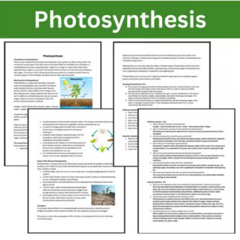 Photosynthesis Reading Comprehension Passage and Questions | 6th, 7th, 8th Grade, image 2