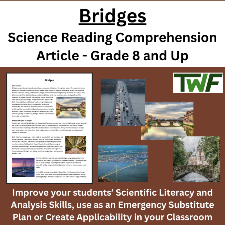 Bridges - Reading Comprehension Article - Grade 8 and Up + bonus STEM Challenge