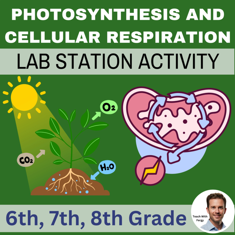 Photosynthesis and Cellular Respiration 6th, 7th, 8th Grade Lab Station Activity