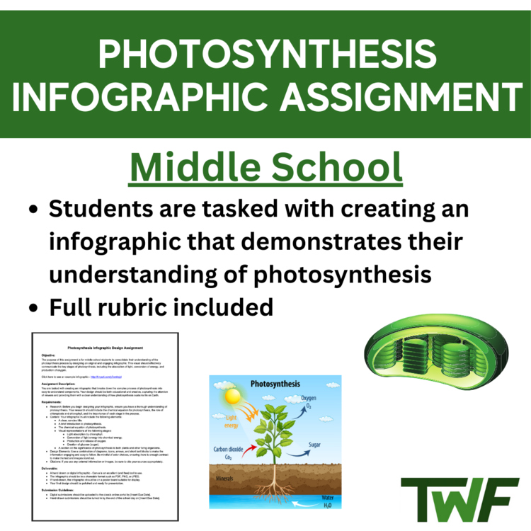 Photosynthesis Infographic Assignment - Middle School Appropriate