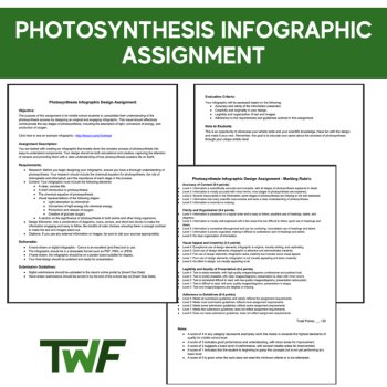Photosynthesis Infographic Assignment - Middle School Appropriate, image 2
